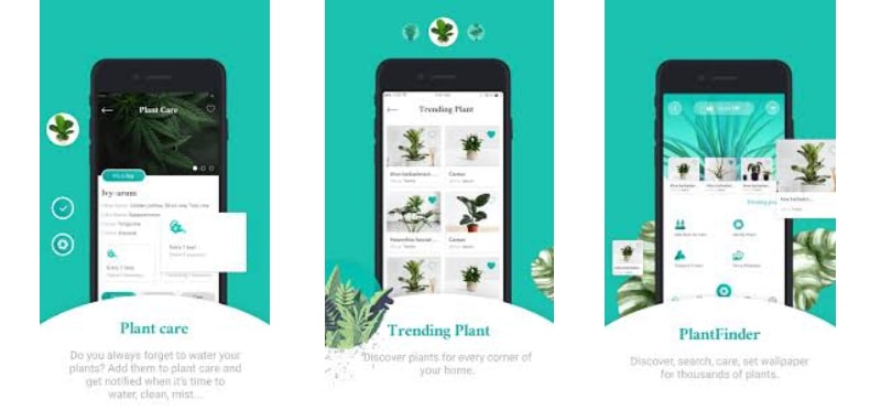 PlantFinder – Quick identifier